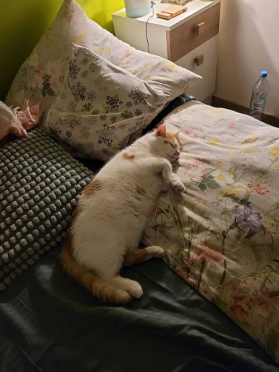 RicoElectrico - Dobranoc Hyziu ( ͡° ᴥ ͡°)
#pokazkota