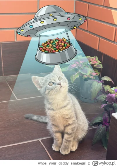 whosyourdaddysnakegirl - @wybryknatury

JA WIEM O CZYM ONA MYŚLI