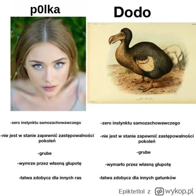 Epiktetlol - Ewolucja dla p0lek jest brutalna.
Ewolucja pill
#p0lka  #przegryw