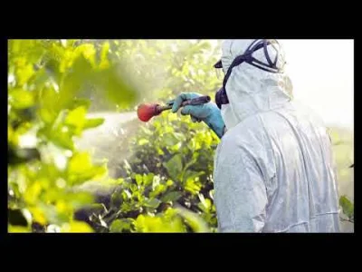 Freddoooo - https://youtu.be/GQUdGn7PwuM