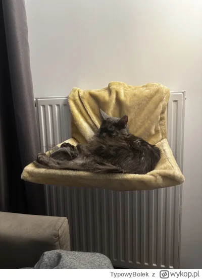 TypowyBolek - @Tyrande