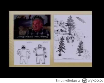 SmutnyStefan - #ufo 
Prezentacja o ciekawym przypadku, znanym jako "Bow & Arrow Case"...