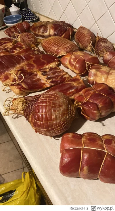 RiczardH - #wedzenie #jedzzwykopem