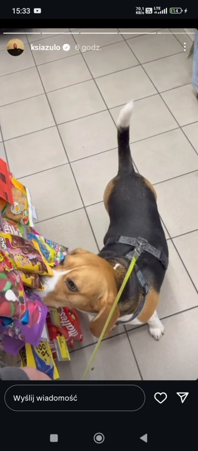 MirasPdk - Ciekawe czy później kupił te obślinione żelki :D

#ksiazulo #psiarze