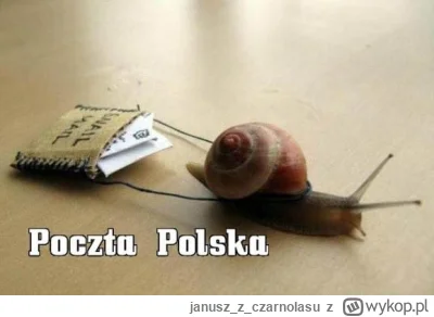 januszzczarnolasu - >A teraz wyobraźcie sobie Polskę za 20 la

@zwirz: Zmienią logo z...