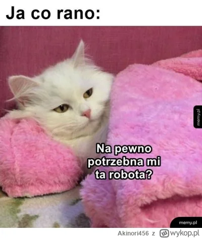 Akinori456 - No i standard...
Wstałem i na dzień dobry takie myśli...

#przegryw #prz...