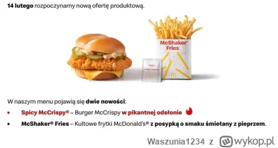 Waszunia1234 - #mcdonalds Nowe fryyty majo byc myslicie ze zjadliwe? ( ͡° ͜ʖ ͡°)