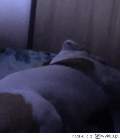 nadziejc - @Julius90: prawda