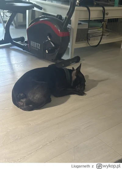 Liugarneth - @kidi1: