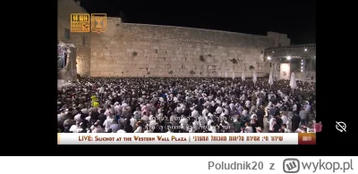 Poludnik20 - @Poludnik20: