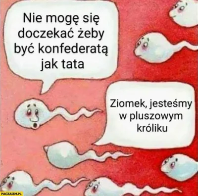 MrRedz - Zawsze bawi xD
#bekazprawakow #4konserwy #polityka #humorobrazkowy #bekazkon...