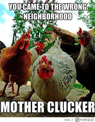 vaio - @Miststreuermann: było ciemno, noc a dziecko spało w pokoju...