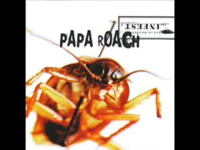 cultofluna - #metal #rock #numetal
#cultowe (1154/1000)

Papa Roach - Between Angels ...