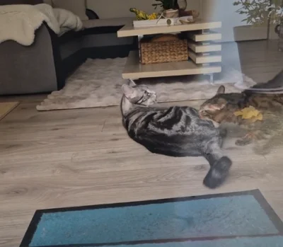 Ipsy - @Lujdziarski: chaps!