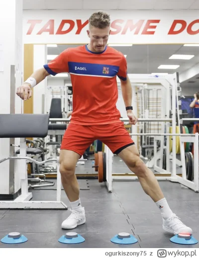 ogurkiszony75 - Teraz na scene wchodzą najlepsze kopyta tego turnieju #tenis