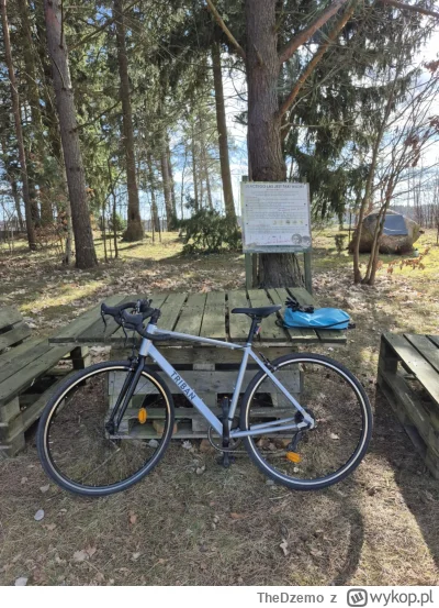 TheDzemo - 46 255 + 20 = 46 275

Nadszedł ten wspaniały moment - wreszcie po wielu la...