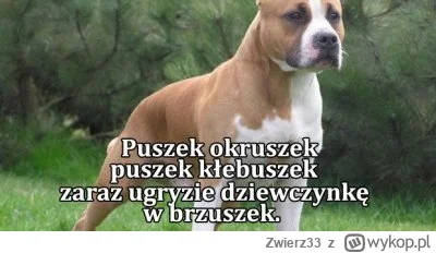 Zwierz33 - Moja propozycja na ukrócenie patologii z psami jest prosta i skuteczna. 

...