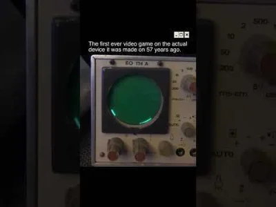 Neocaridina - #gry asdzxd