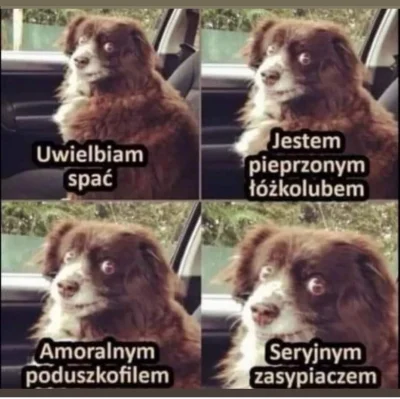 wybryk_natury - #zlodziejskiewybryki