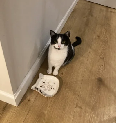 jatutylkonamoment - Hej kolego! Nie masz może jakiegoś smaczka? Nikt nie zauważy. #po...