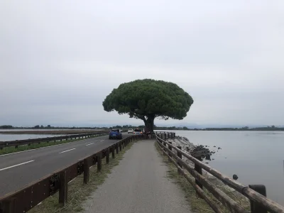 ChlopoRobotnik2137 - Finito , spac mi się chce