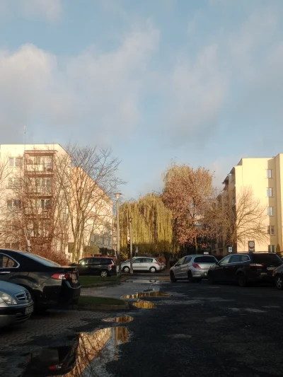 winsxspl - Jakaś zima przyszła? Bo ja nic nie widzę