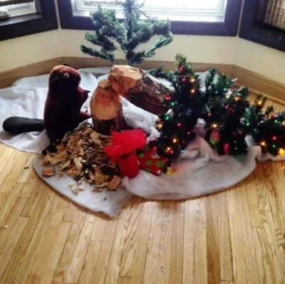 L.....k - A u was choinka już ubrana?

#swieta #heheszki