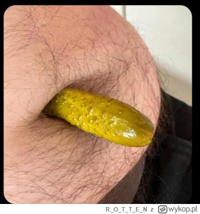 ROTTE_N - #gotujzwykopem