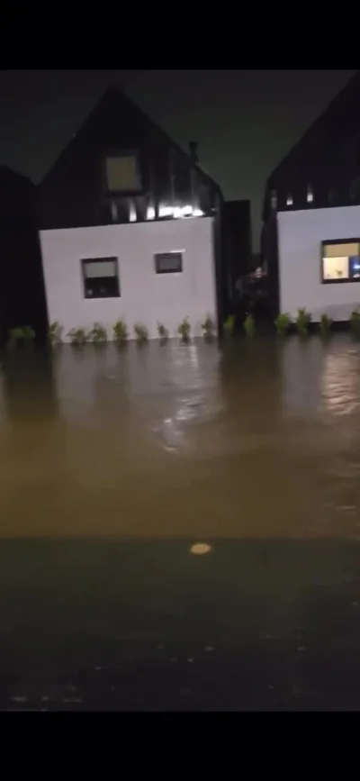 PingwinPikPok - źródło: https://www.facebook.com/reel/809075777791815