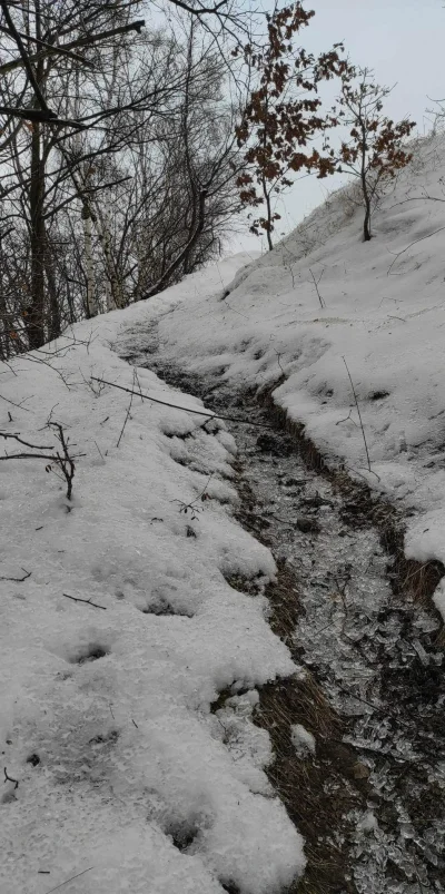 lubiepicherbatke - droga do biura jak na mount everest