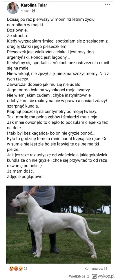 WielkiNos - Cała historia: