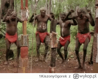 1KiszonyOgorek - #raportzpanstwasrodka 
Goście utwardzają drogę przed kurnikiem gapy....