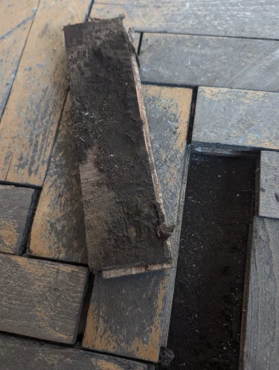 chrobak01 - Siema, mam pytanie. Wynajmuję teraz lokal i jest w nim problem z podłogą,...