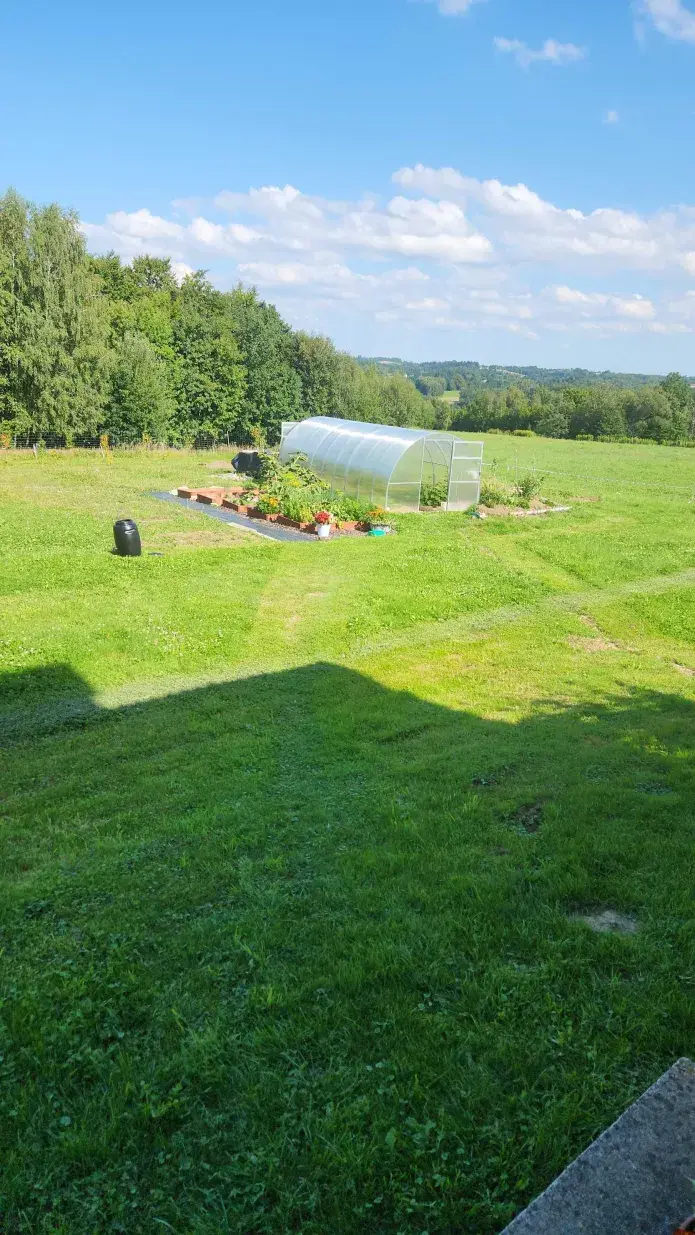 Wanzey - Huop dzisiaj cały dzień na polu pomagał mamełe, przeniósł grządki podwyższan...