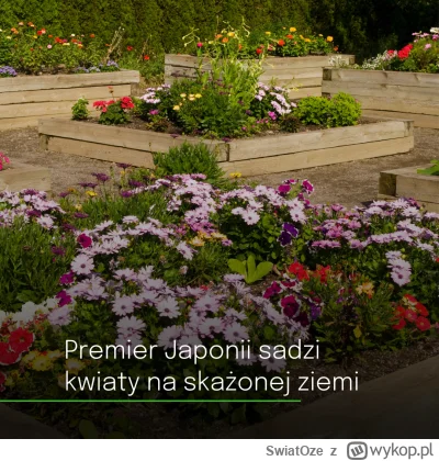 SwiatOze - ☢️🌻Premier Japonii Shigeru Ishiba próbuje przeciwdziałać lękom społeczeńs...