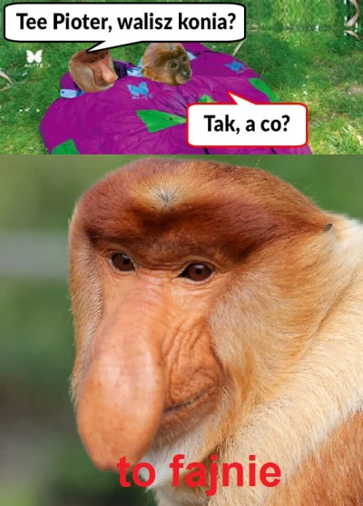 LeafWhisper - #konkursnanajbardziejgownianymemznosaczem