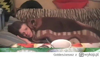 GoldenJanusz - rodzice dali mi 400 zł mówiąc że to od Mikołaja 🙈🙈 (mam 30 lat)
#prz...