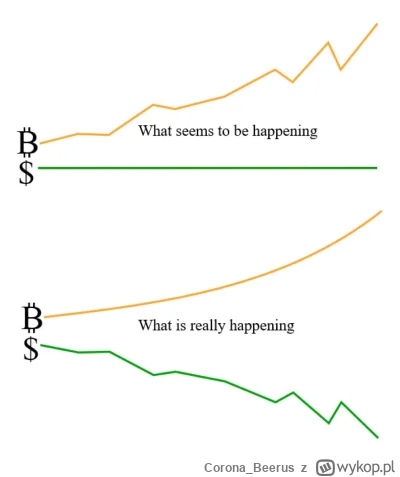 Corona_Beerus - Dla wszystkich którzy zastanawiają się co się stało. Odpowiedź jest m...