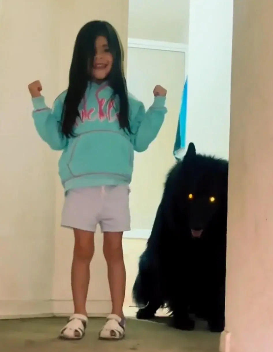 wfyokyga - Piesiu typu puszek