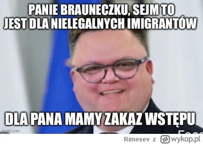 Rimesev - #holownia #sejm #braun