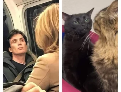 wybryk_natury - #zlodziejskiewybryki