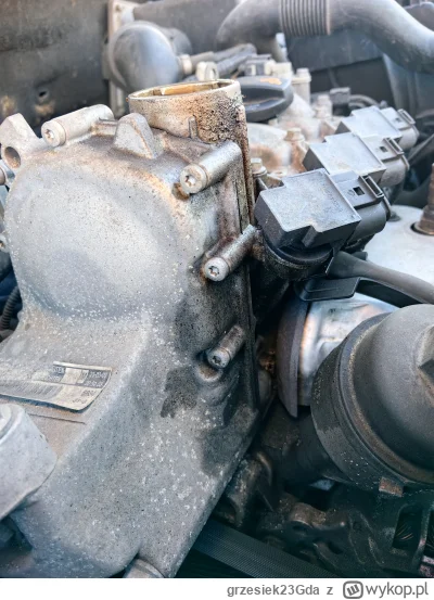 grzesiek23Gda - @grzesiek23Gda djjd