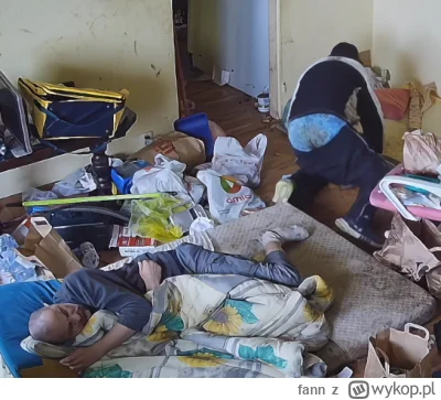 fann - #danielmagical