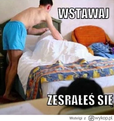 Wutelgi - @mirko_anonim: