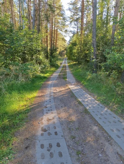 ryoku88 - #przegryw dzisiaj bardzo długi spierdotrip. Jakieś 20 km do domu jeszcze zo...