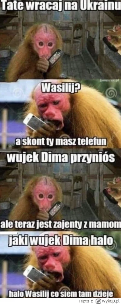 Triptiz - Memy wyprzedził swoje czasy.