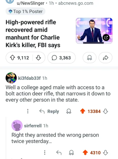 cheeseandonion - #zzr #