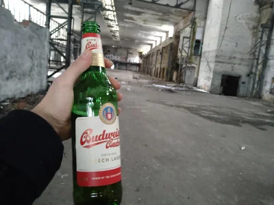 SzycheU - Dzień dobry 
#piwo #budweiser #szycheucontent