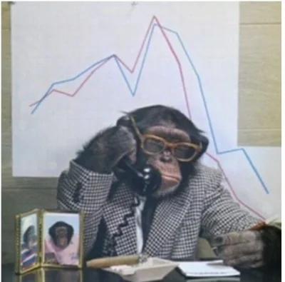 Emble - @vieniasn małpa z niebieskim czy różowym jeden c--j