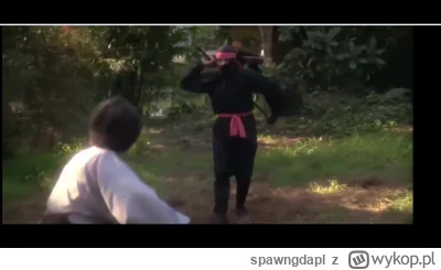 spawngdapl - #ocieplaniewizerunkuadolfahitlera
https://streamin.link/v/99206104